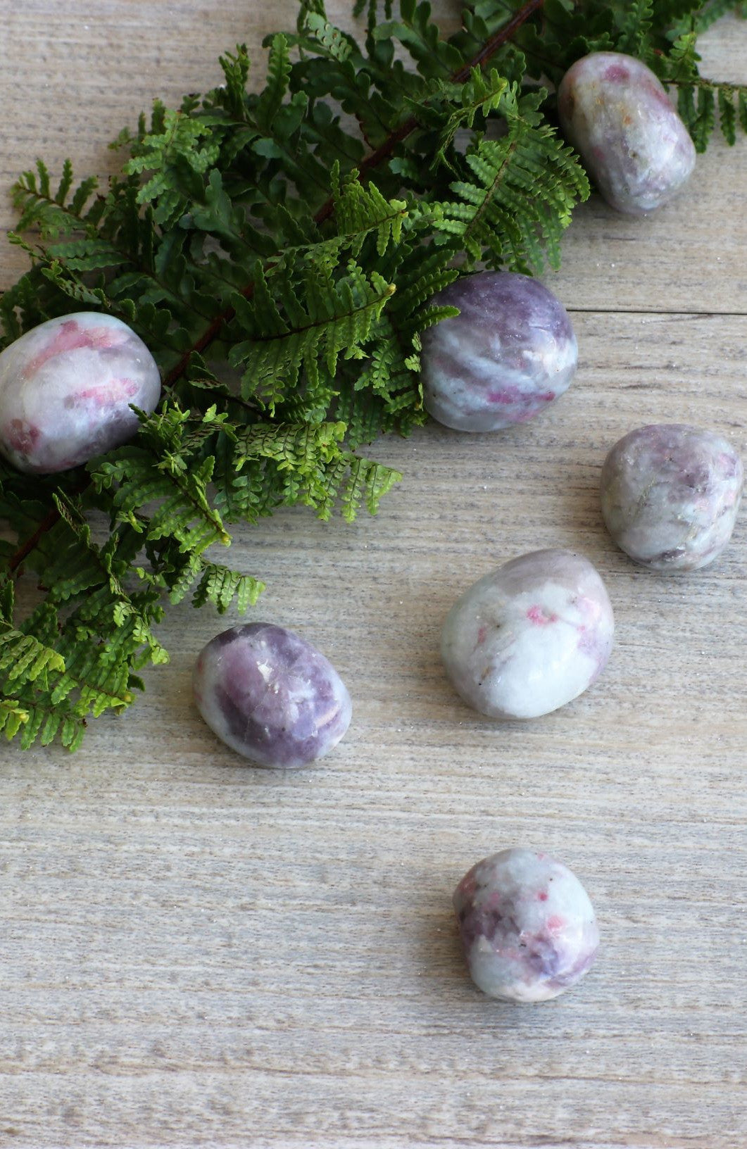 Pink Tourmaline in Quartz Tumbled Stone